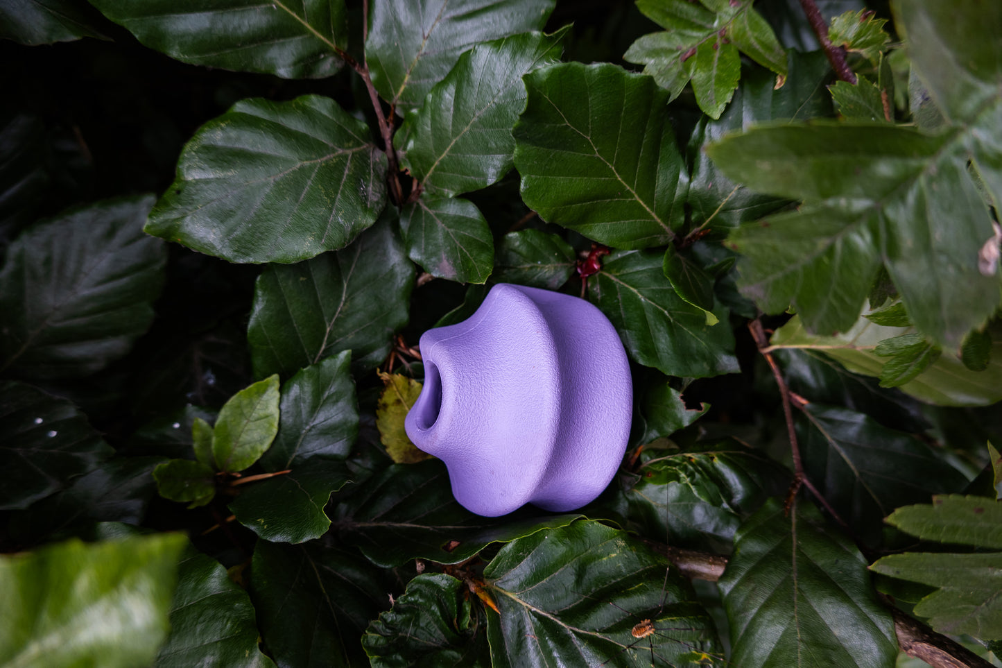 Natural rubber treat ball