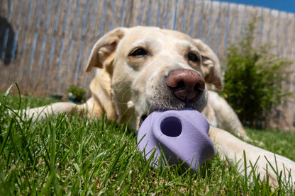 Natural rubber treat ball